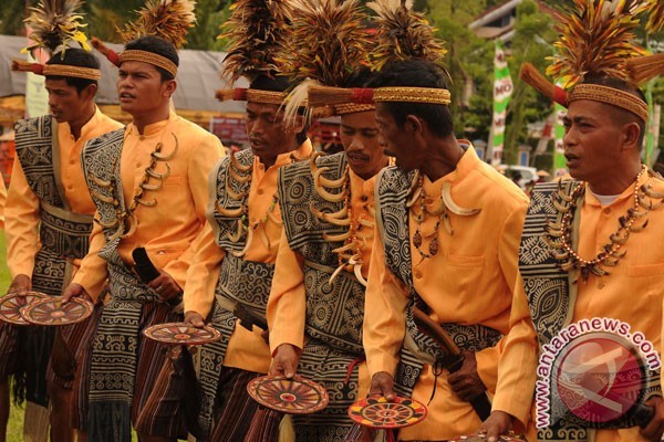 pakaian adat khusus penari toraja