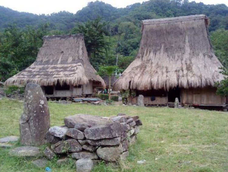 Soa Ria atau rumah Musalaki adalah rumah adat NTT yang dihuni suku Ende Lio