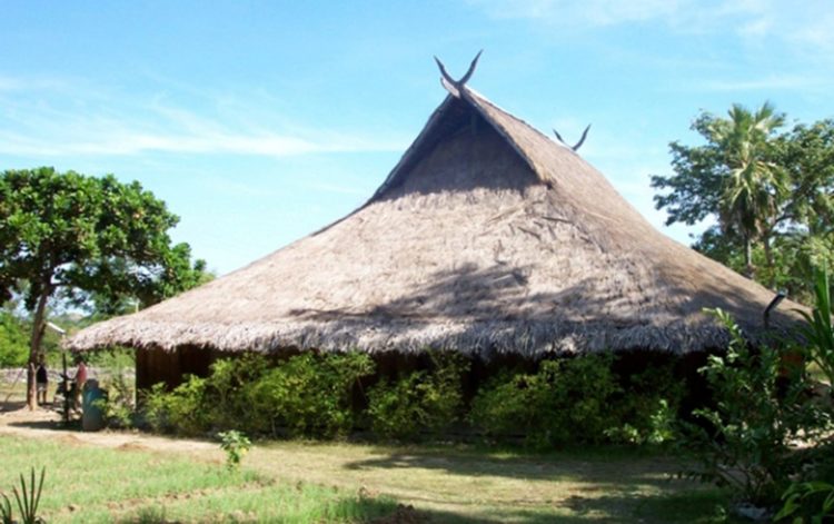 Rumah adat NTT yang dihuni suku rote