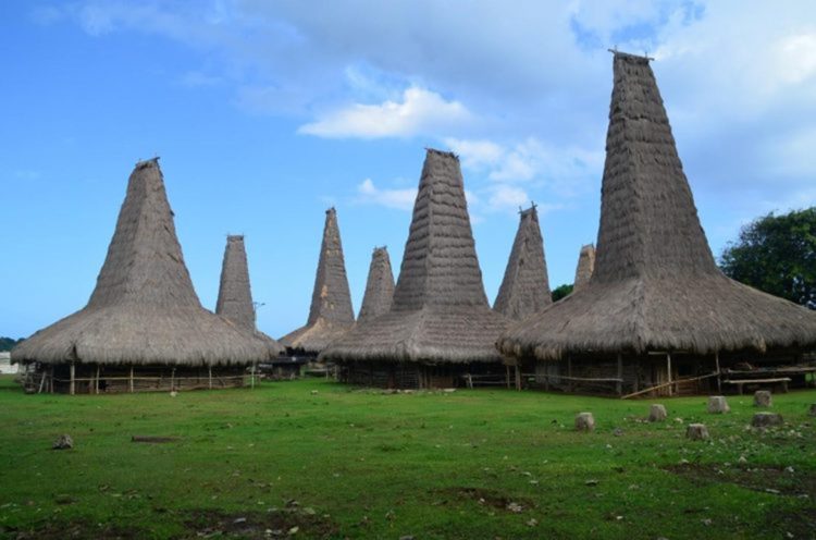 Salah satu jenis rumah adat NTT yang dihuni oleh suku Sumba