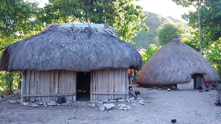 Rumah adat NTT yang dihuni suku timor