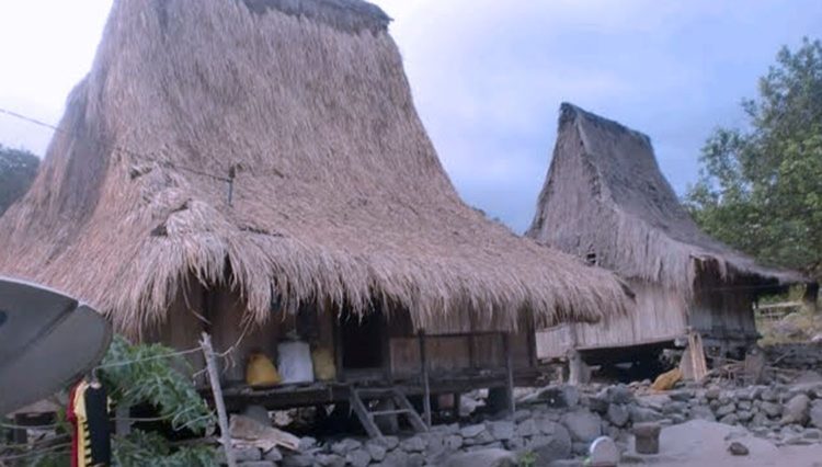 Sao Ria atau rumah Musalaki adalah rumah adat NTT yang dihuni suku Ende Lio