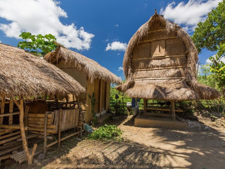 gambar bale tani rumah adat lombok