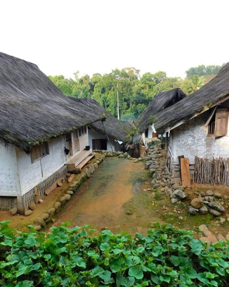 perkambungan rumah adat baduy