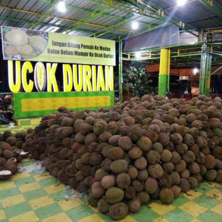 gambar durian ucok oleh oleh khas medan