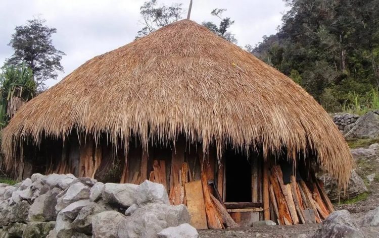 jenis rumah ebe'ai rumah adat honai