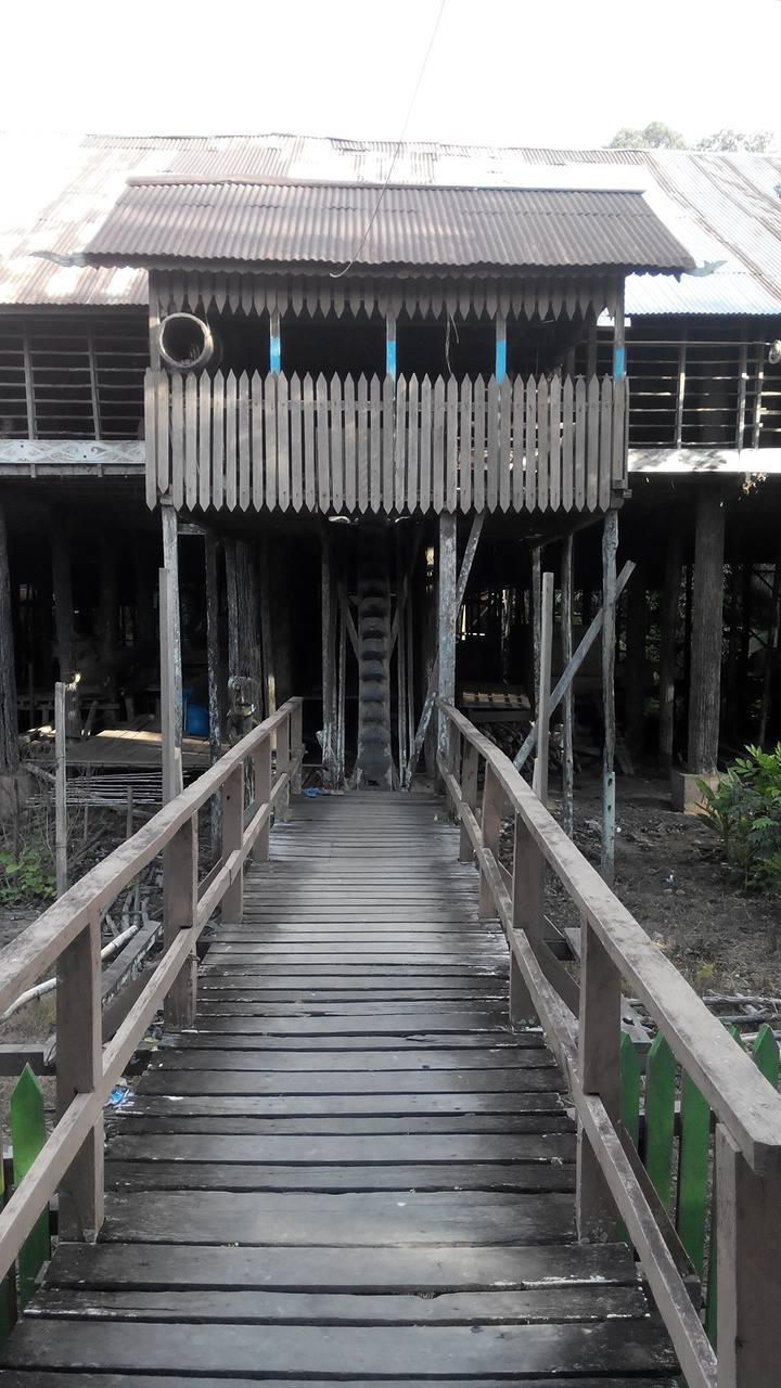 rumah adat betang kalteng