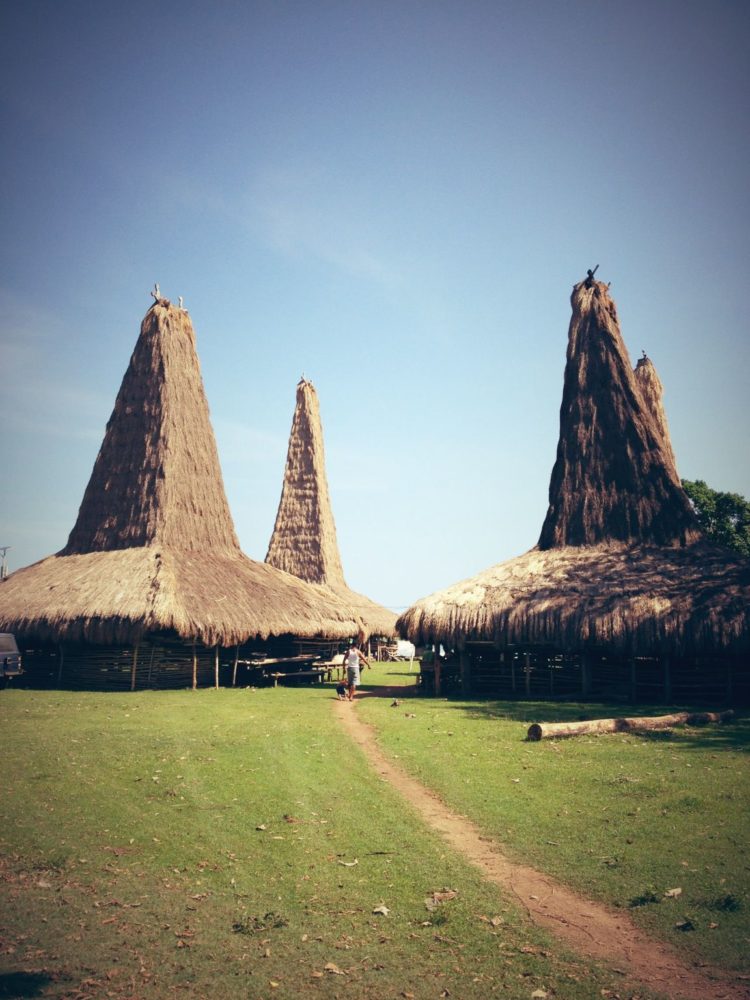 gambar sejarah rumah adat sumba dan sejarahnya
