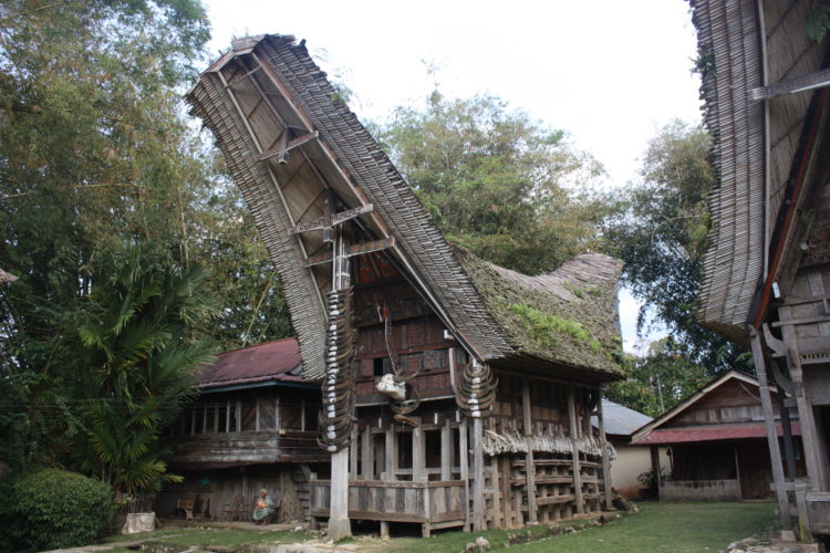 fungsi kolong rumah adat tongkonan