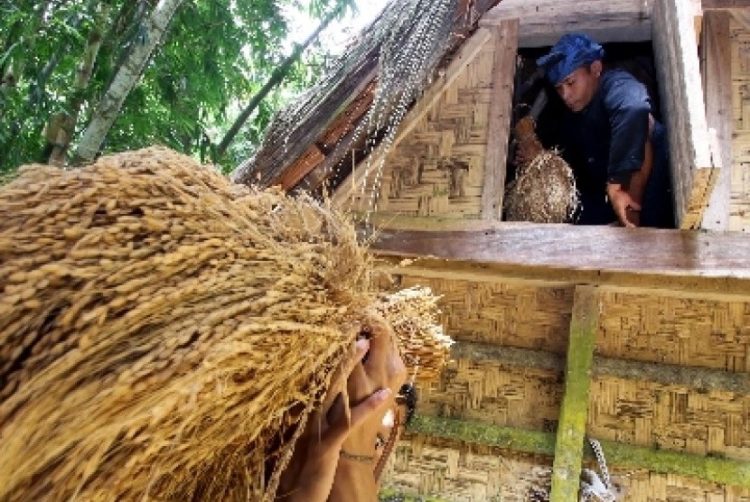 ruangan leuit rumah adat baduy