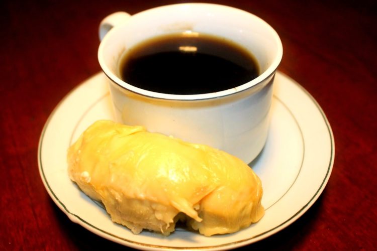 durian kopi luwak makanan khas Lampung