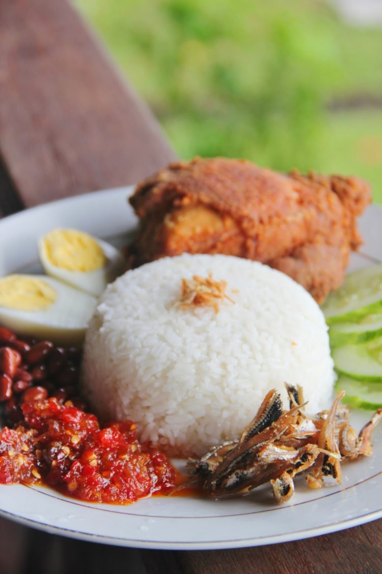 ilustrasi makanan khas batam nasi lemak