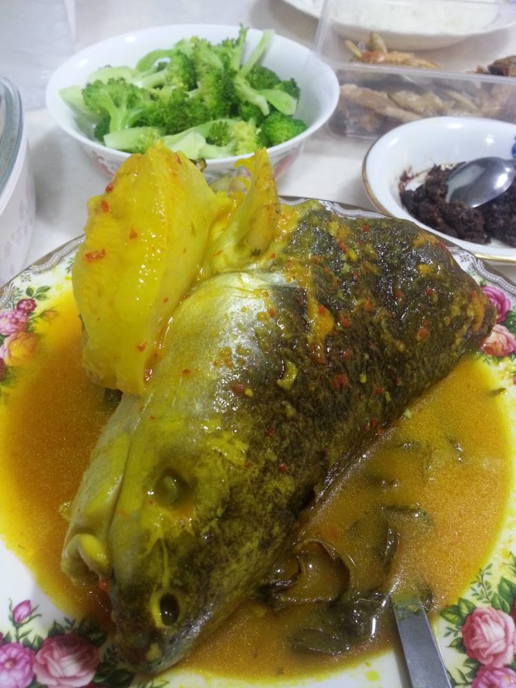 nama makanan khas bengkulu tempoyak ikan patin