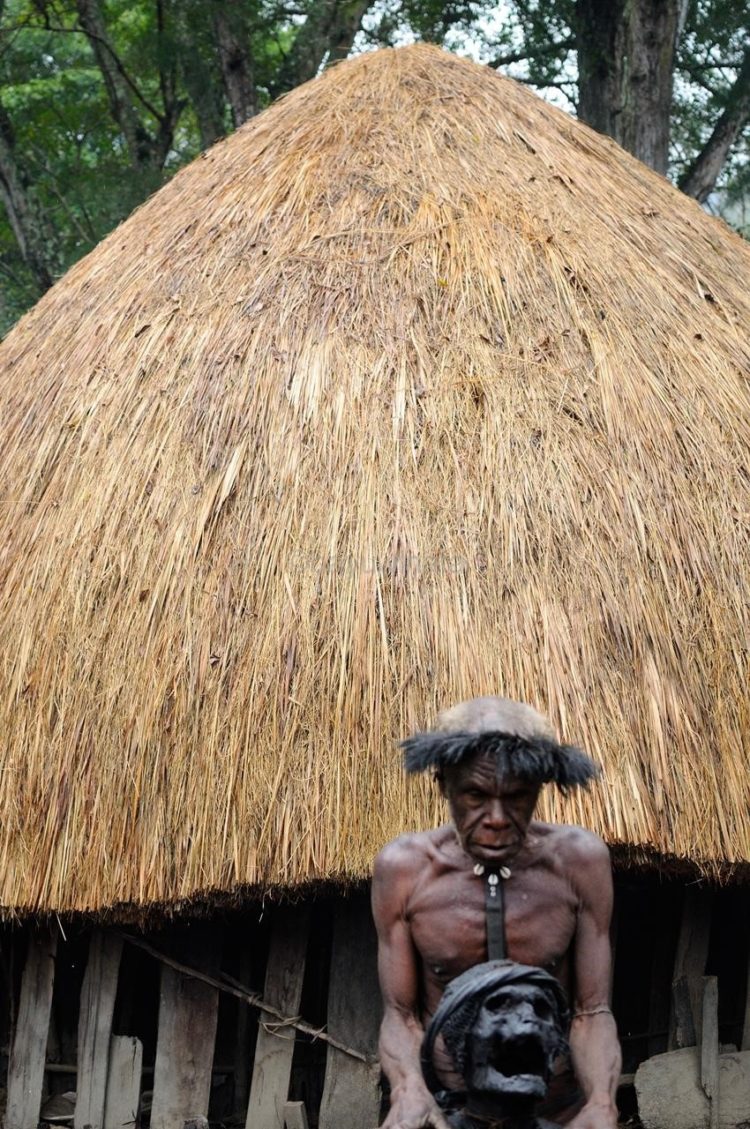 rumah adat honai hanya memiliki pintu