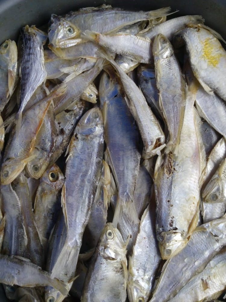 oleh oleh khas cirebon berupa Ikan Asin Bilis