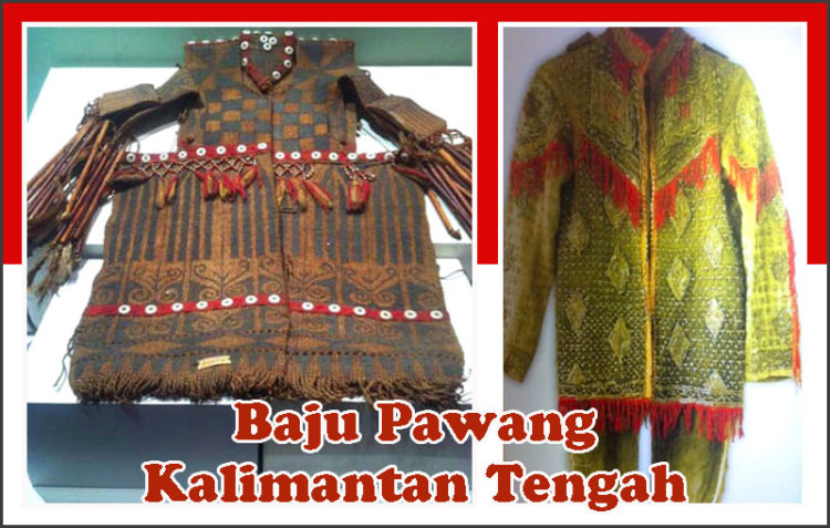 ilustrasi pakaian adat suku dayak pawang