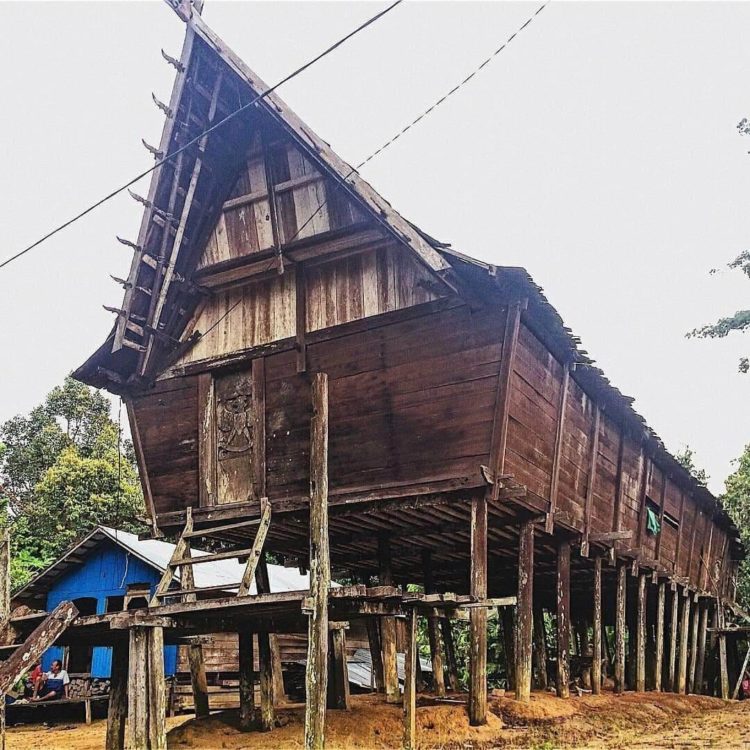 arsitektur rumah adat ensaid panjang kalimantan barat