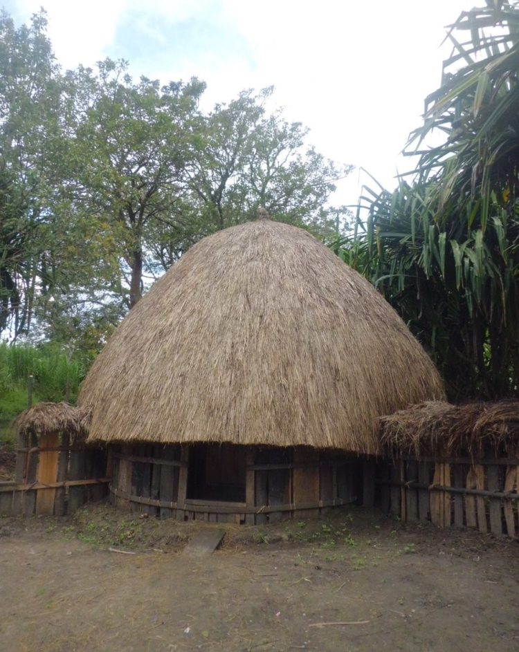 2 Rumah  Adat Honai  KEUNIKAN GAMBAR SEJARAH STRUKTUR 