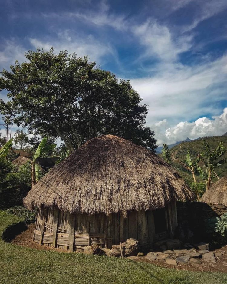 rumah adat honai papua barat