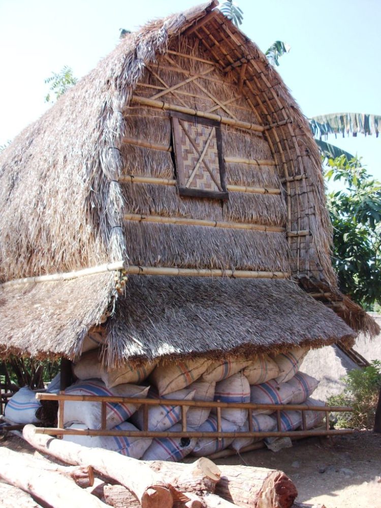 foto rumah adat lombok bale tani
