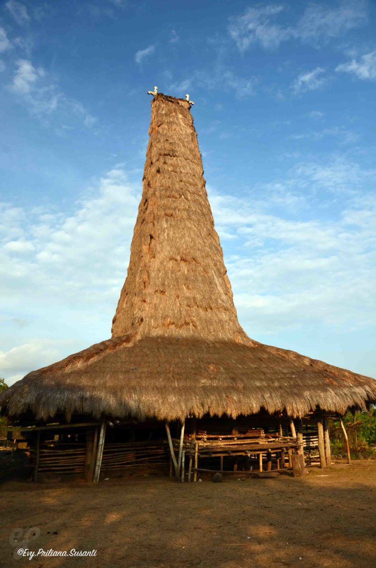 Rumah Adat Sumba STRUKTUR GAMBAR NAMA dll 