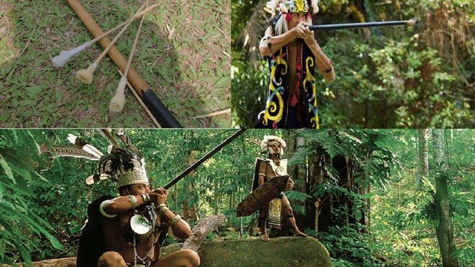 sumpit adalah senjata tradisional sulawesi tengah