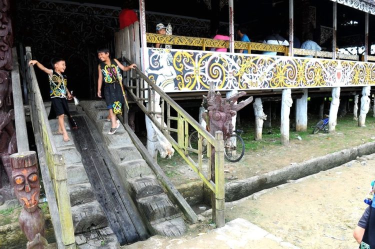 struktur tangga rumah adat lamin