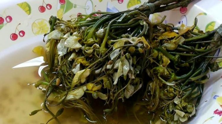 Makanan khas kalimantan Selatan yang unik dan langka bernama kambang tiguran