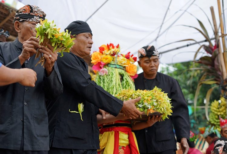 prosesi dodol kembang dermo untuk keberuntungan