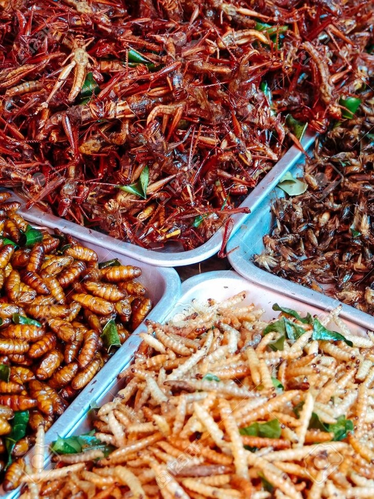 Contoh Makanan khas Thailand aneka Serangga Goreng