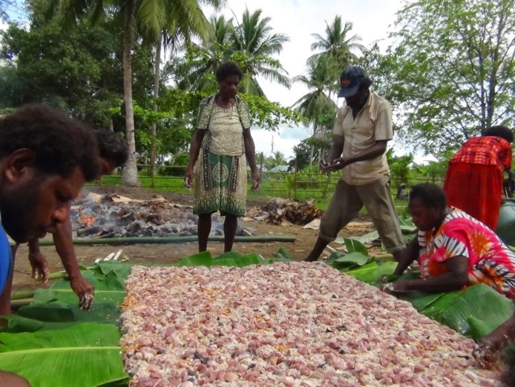 Gambar Sagu Sep Makanan Khas Papua