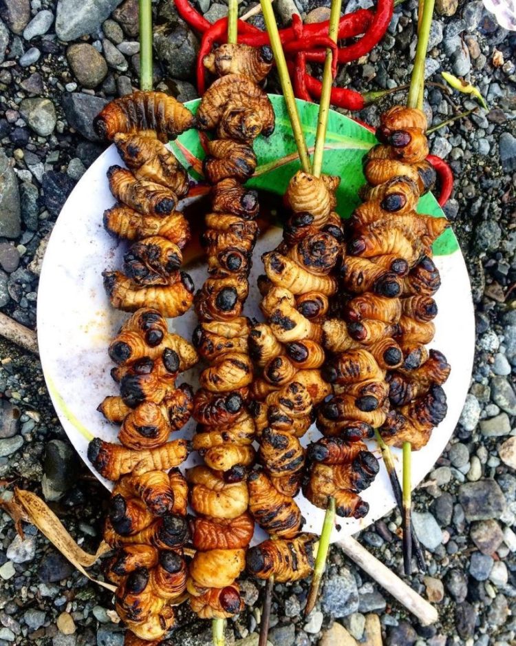 Gambar Sate Ulat Sagu Makanan Khas Papua