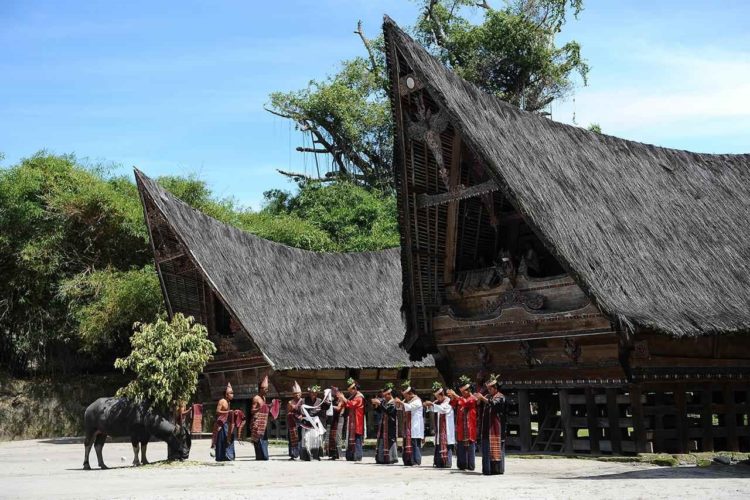 gambar tari tor tor manipokkon hasaya