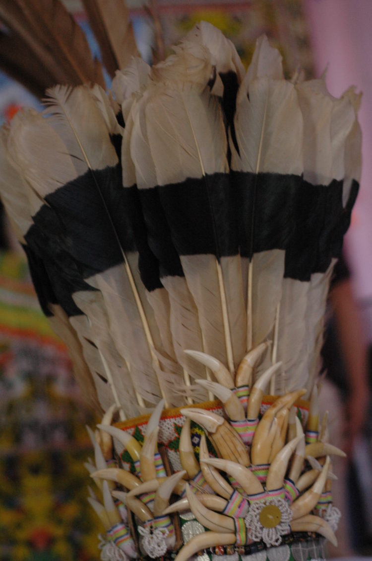 foto bulu burung enggang dalam tari gong