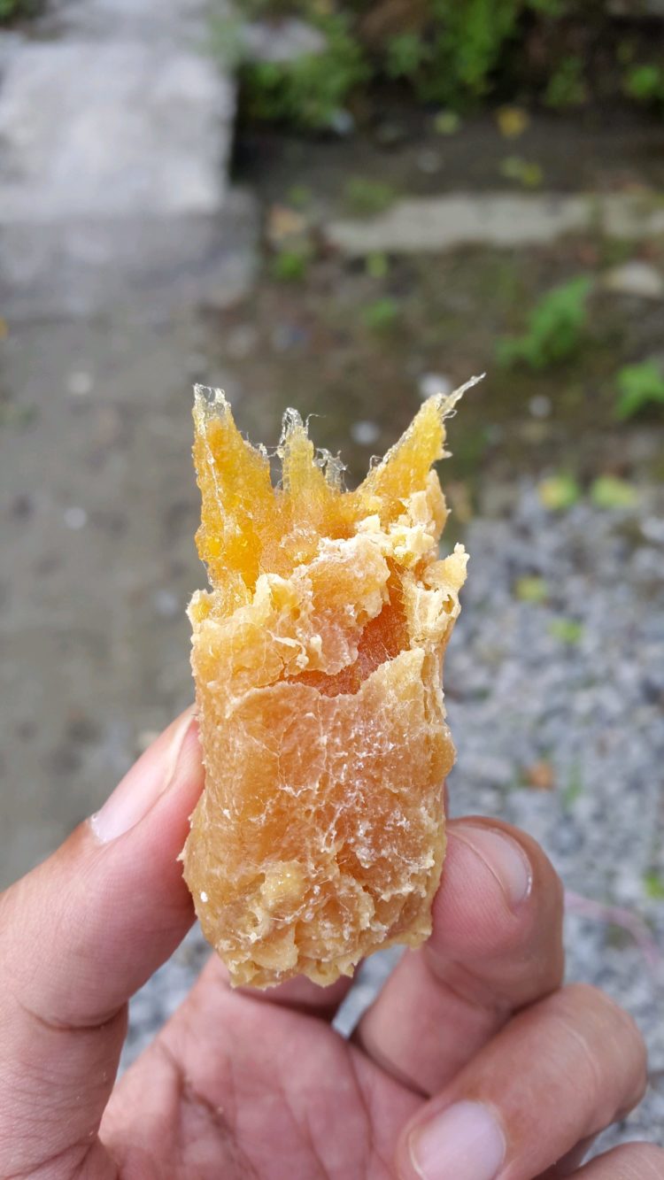 gambar makanan khas bangka belitung lempok cempedak
