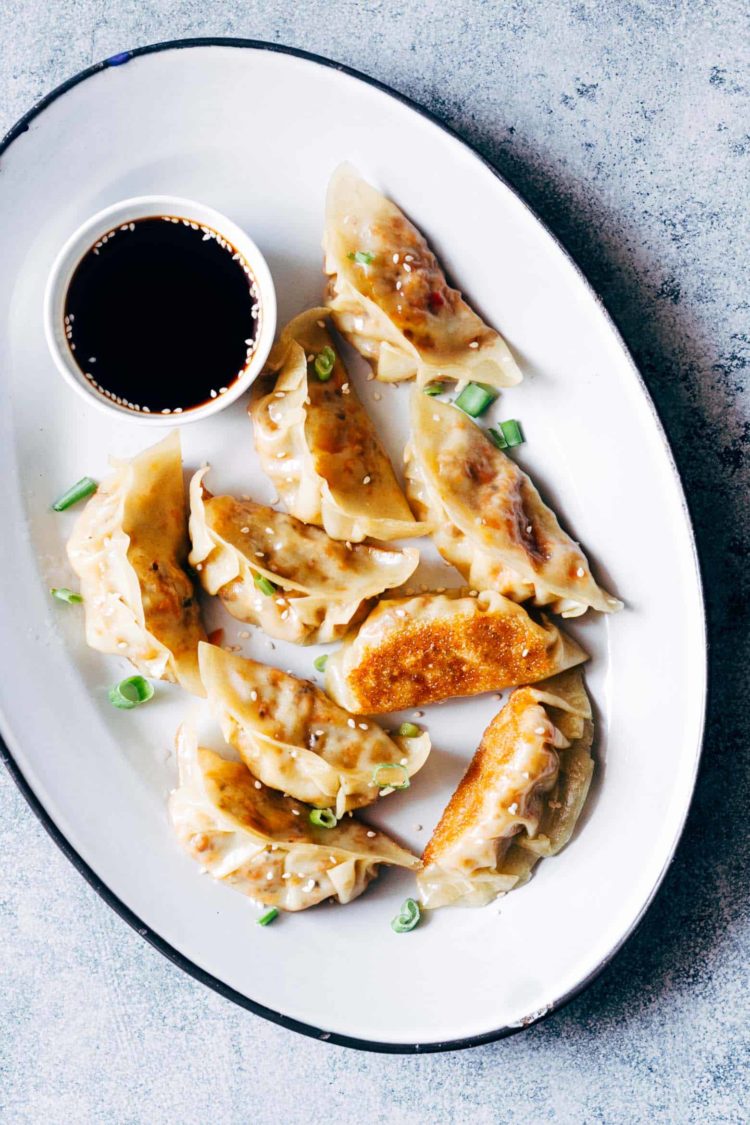 foto makanan khas jepang gyoza