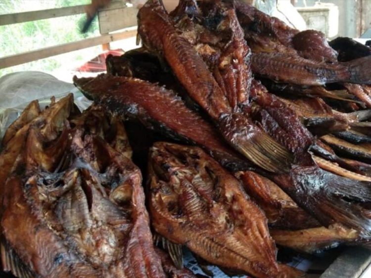 oleh-oleh Pekanbaru ikan patin