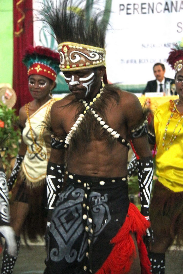 tari sajojo berasal dari papua