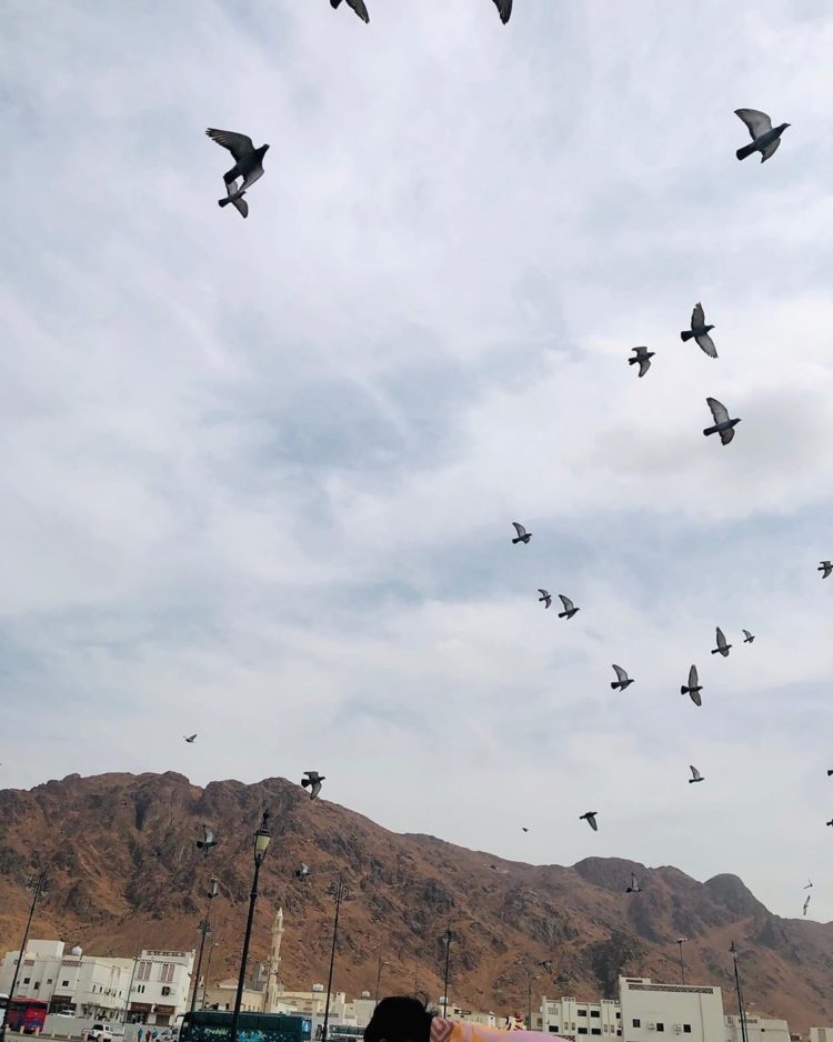 julukan burung elang perang uhud