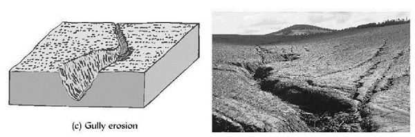 Gambar Contoh Gully Erosion dalam Pengertian Erosi