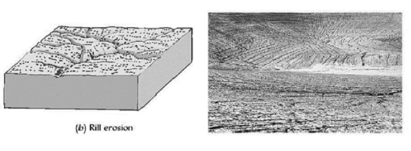  Gambar Contoh Rill Erosion dalam Pengertian Erosi