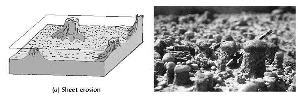 Gambar Contoh Sheet Erosion dalam Pengertian Erosi