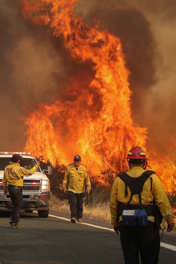 gambar Kebakaran Hutan Besar-besaran dan Pengertian Pemanasan Global