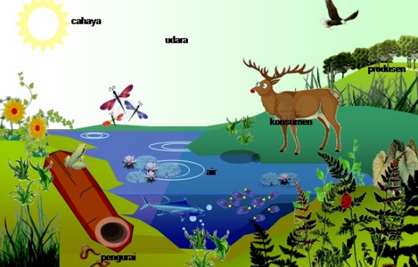 gambar Komponen Biotik dan Abiotik dalam Pengertian Ekosistem