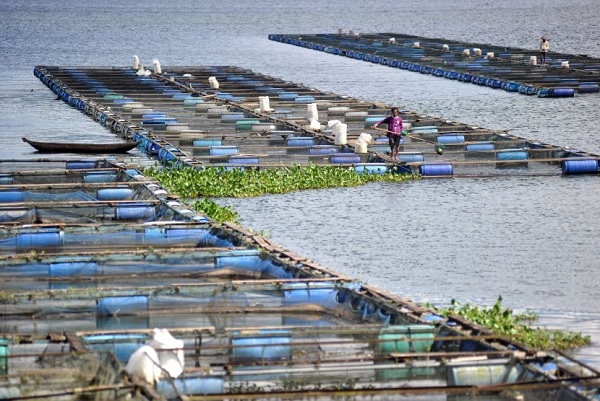 Gambar Manfaat Danau dalam Pengertian Danau