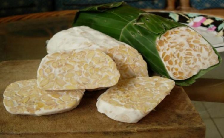 Tempe adalah contoh dari pengertian fermentasi kedelai