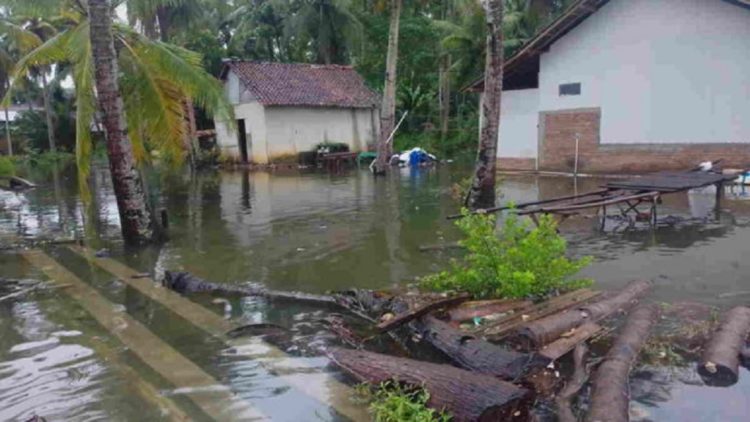 pengertian banjir rob yang disebabkan oleh pasangnya air laut