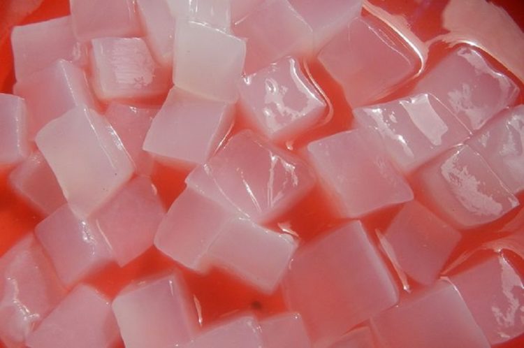 Nata de coco menjelaskan pengertian fermentasi