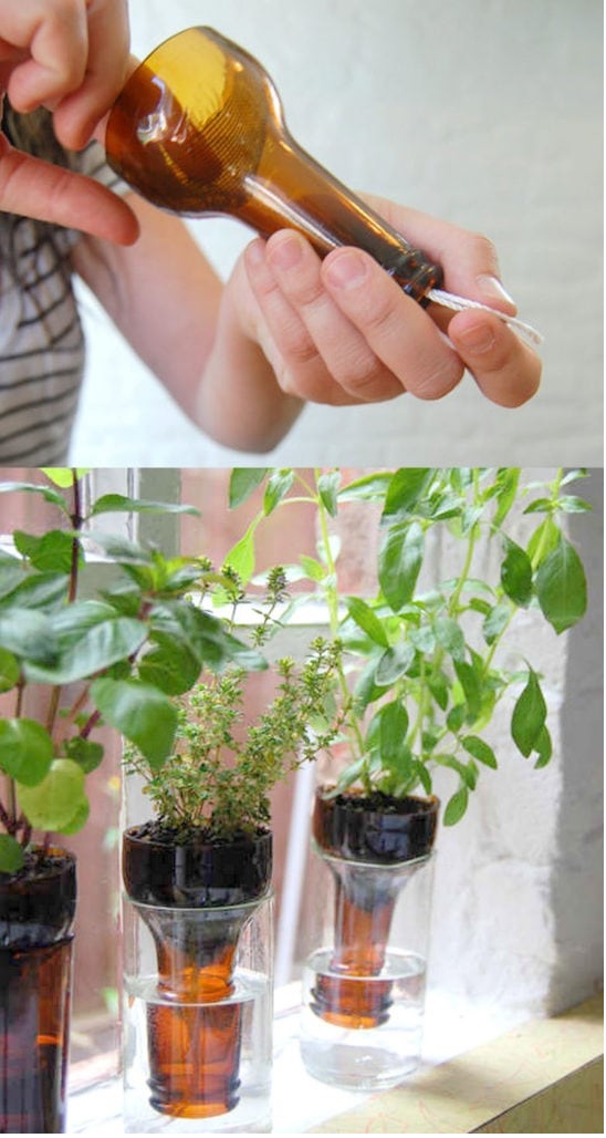 Self-watering Planters contoh Kerajinan dari Botol Bekas