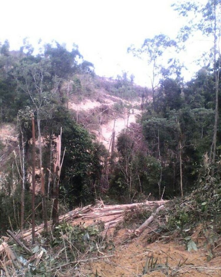 pengertian banjir dan faktor penyebabnya yang dikarenakan aktivitas manusia seperti illegal logging